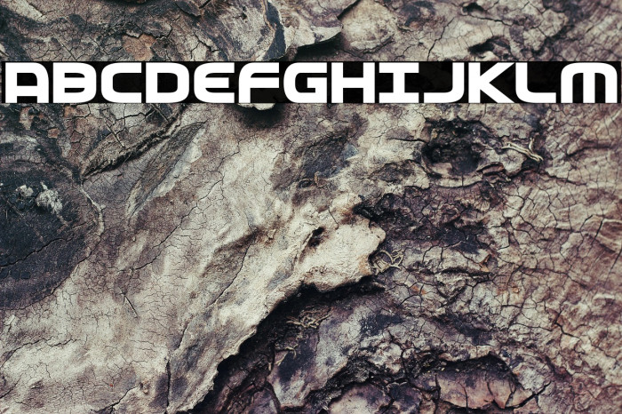 Federal Service ExtraBold Example 1