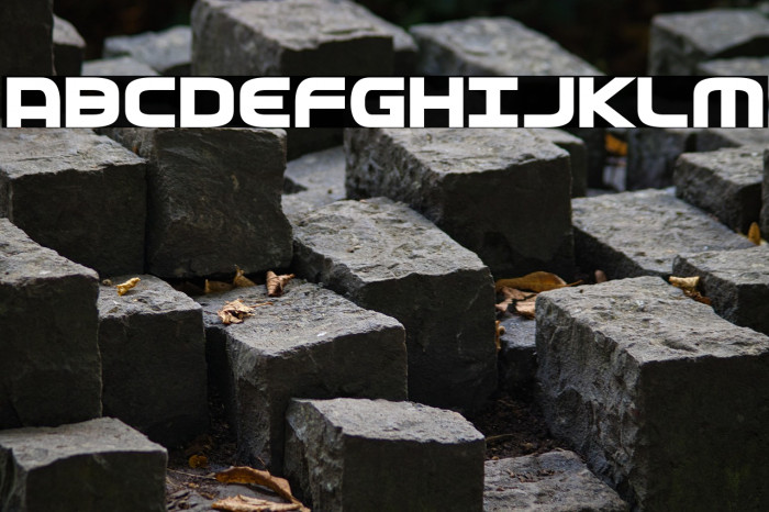 Federal Service ExtraBold Example 2