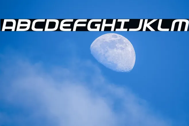 Federal Service Italic Example 2