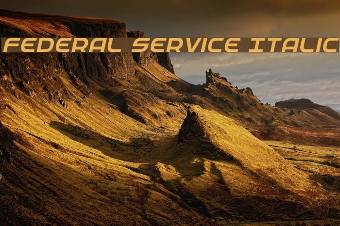 Federal Service Italic Font examples