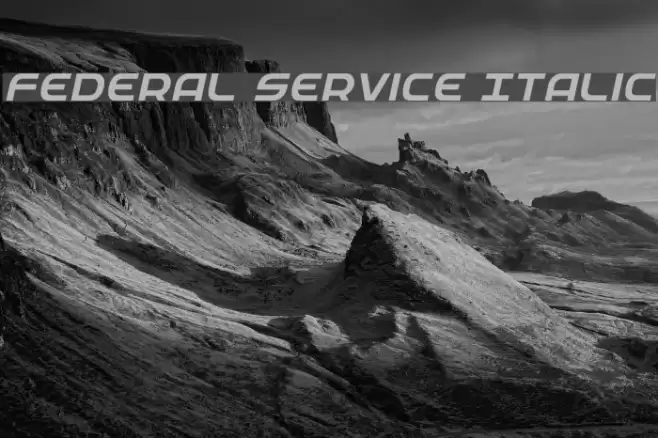 Federal Service Italic Font examples