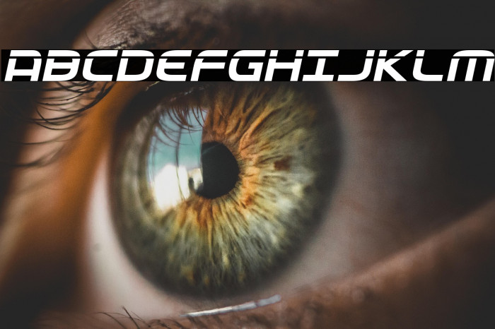 Federal Service Laser Italic Example 2