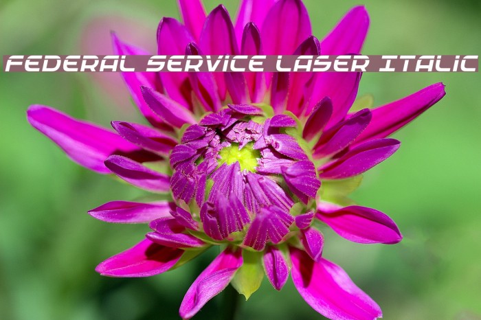 Federal Service Laser Italic Example 1