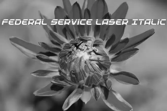 Federal Service Laser Italic Font examples