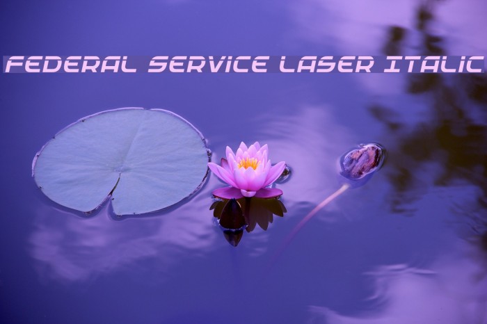 Federal Service Laser Italic Example 2