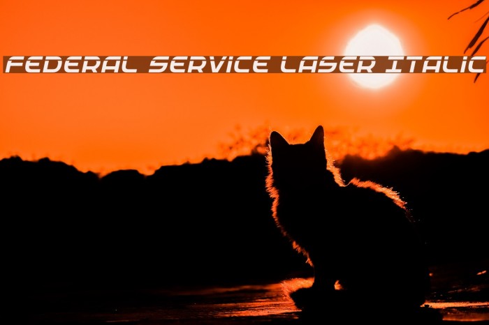Federal Service Laser Italic Example 3
