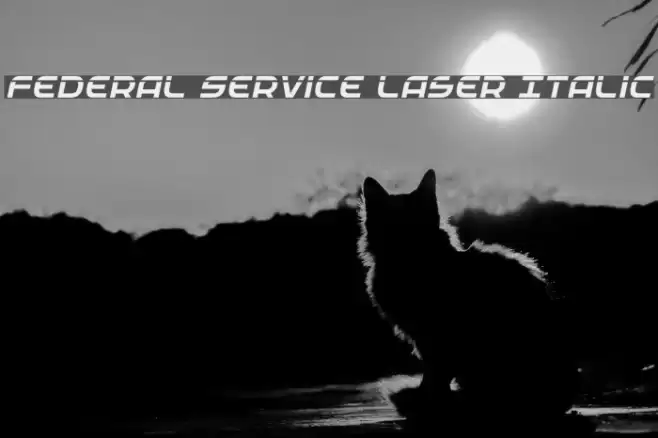Federal Service Laser Italic Font examples