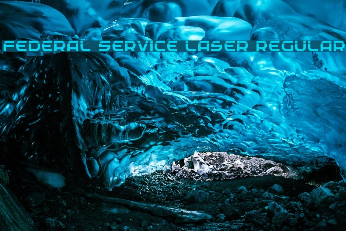 Federal Service Laser Regular Example 1