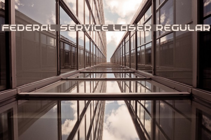 Federal Service Laser Regular Example 2