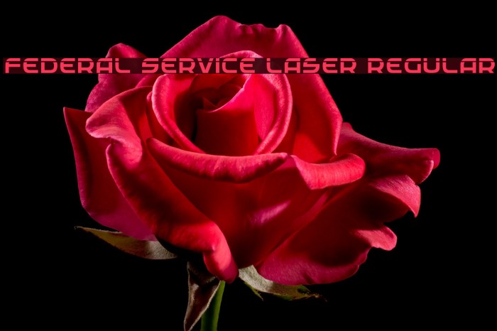 Federal Service Laser Regular Example 3
