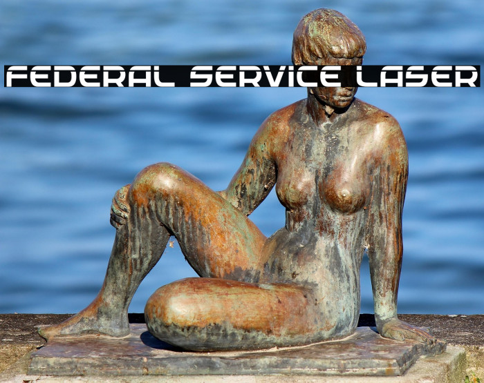 Federal Service Laser Example 1