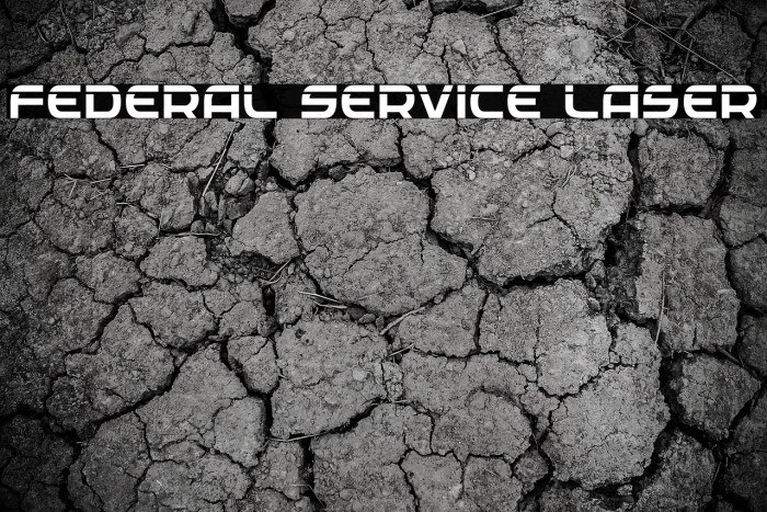 Federal Service Laser Example 2