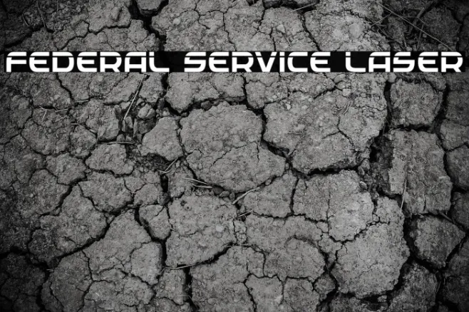 Federal Service Laser Example 2
