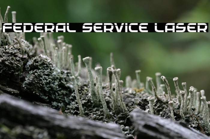 Federal Service Laser Example 3