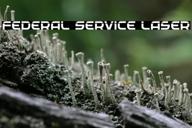 Federal Service Laser Example 3