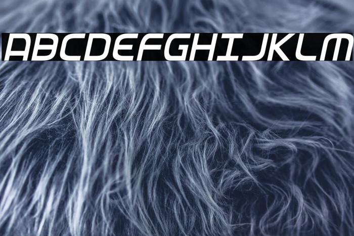 Federal Service Light Condensed Italic Example 2