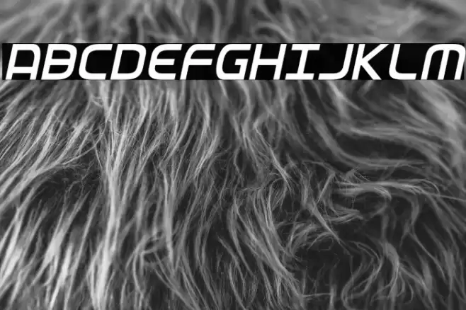 Federal Service Light Condensed Italic Font examples