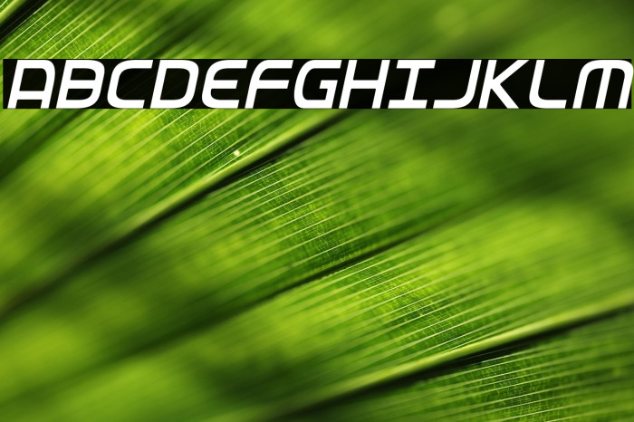 Federal Service Light Condensed Italic Example 3