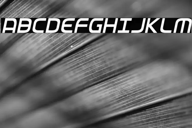 Federal Service Light Condensed Italic Font examples