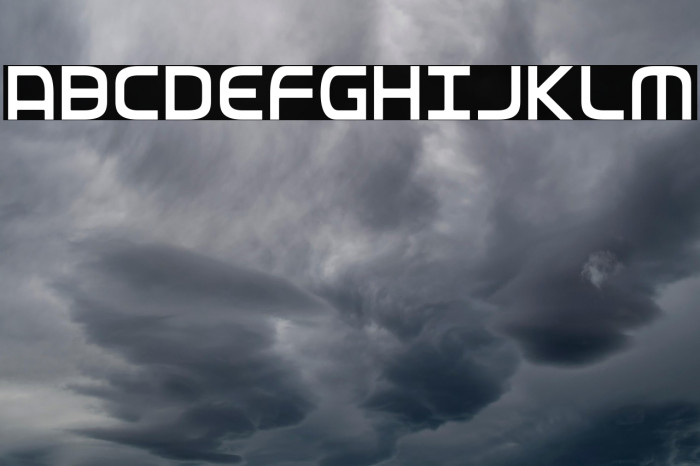 Federal Service Light Condensed Example 1