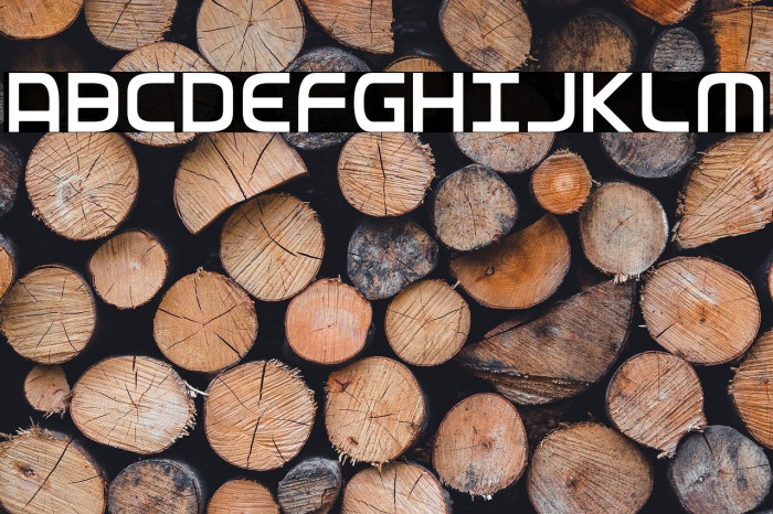 Federal Service Light Condensed Example 2