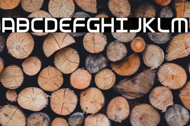 Federal Service Light Condensed Example 2
