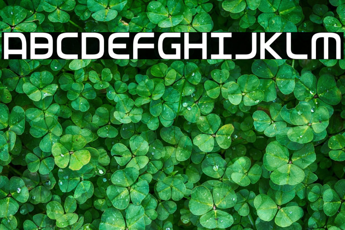 Federal Service Light Condensed Example 3