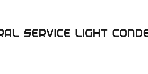 Federal Service Light Condensed Logo