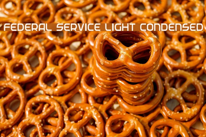 Federal Service Light Condensed Font examples