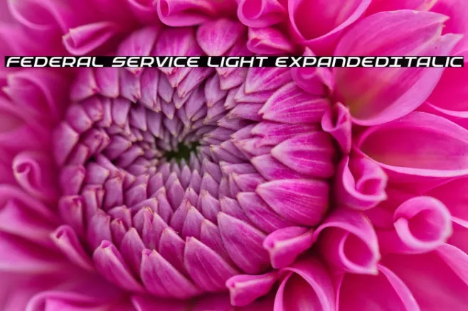 Federal Service Light ExpandedItalic Example 2