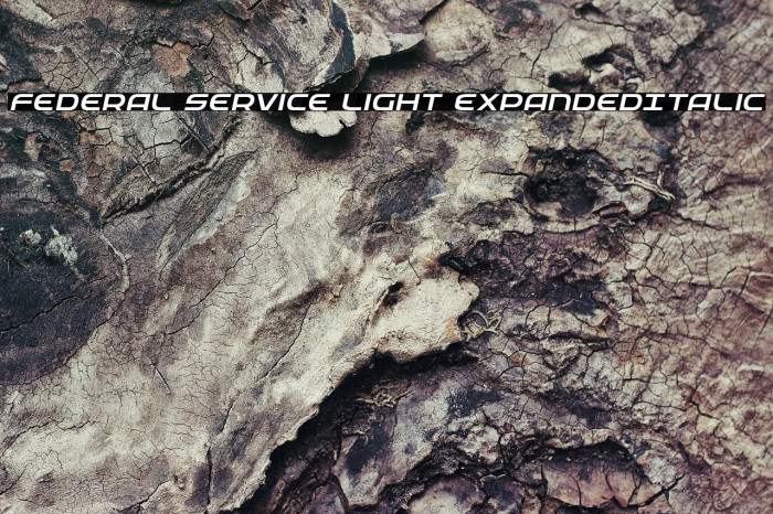 Federal Service Light ExpandedItalic Example 3