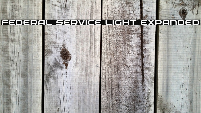 Federal Service Light Expanded Example 1