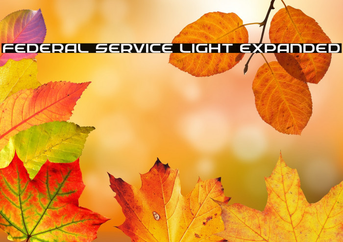 Federal Service Light Expanded Example 2