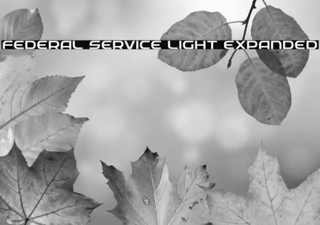Federal Service Light Expanded Font examples
