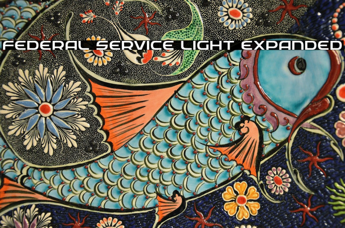 Federal Service Light Expanded Example 3