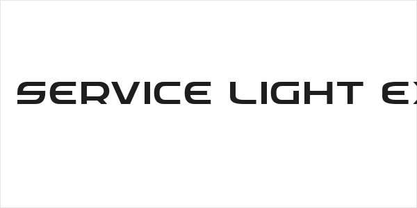 Federal Service Light Expanded Logo