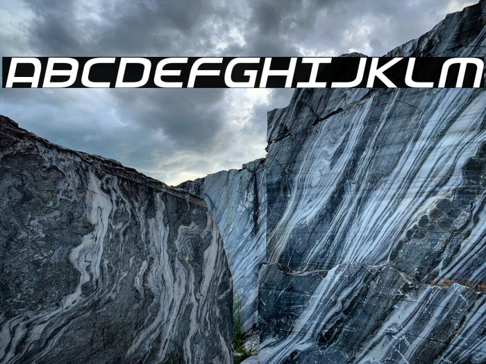 Federal Service Light Italic Example 1