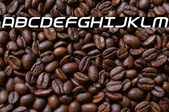 Federal Service Light Italic Example 3