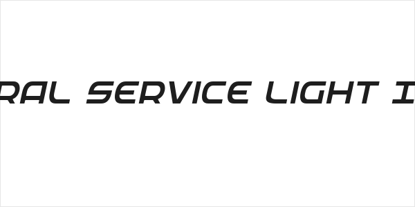 Federal Service Light Italic Logo