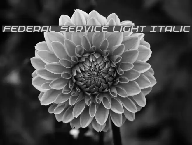 Federal Service Light Italic Fonte examples