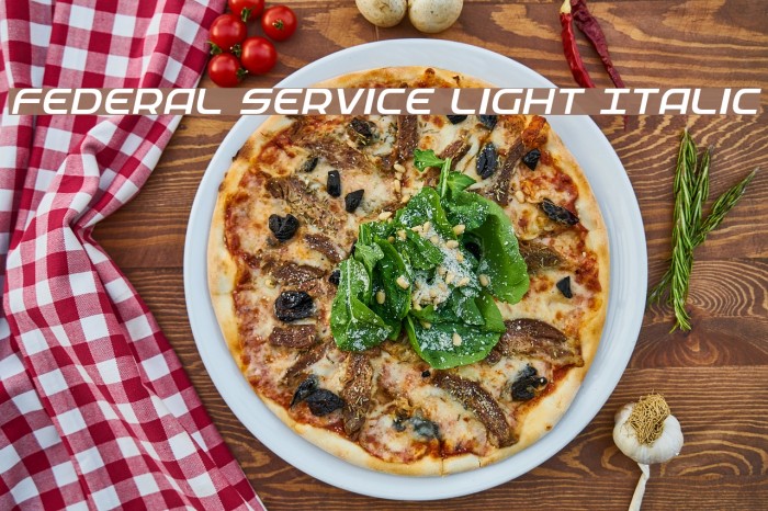 Federal Service Light Italic Font examples