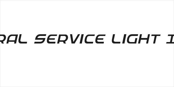 Federal Service Light Italic Logo
