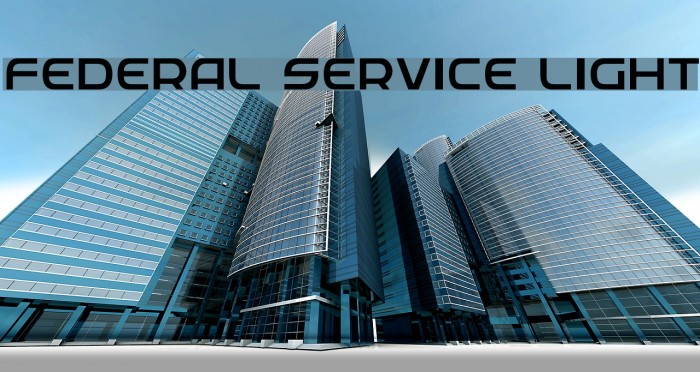 Federal Service Light Example 2