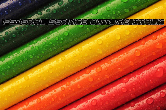 Federal Service Outline Italic Example 2