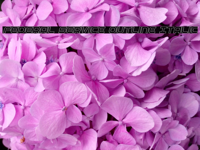 Federal Service Outline Italic Example 3