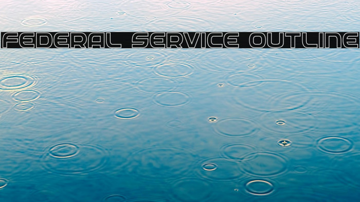 Federal Service Outline Example 1
