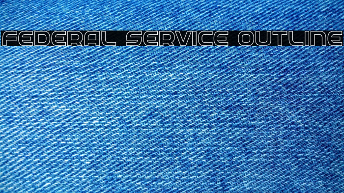 Federal Service Outline Example 2