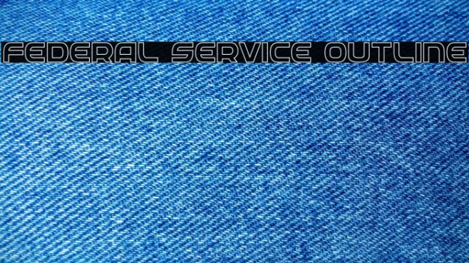 Federal Service Outline Example 2
