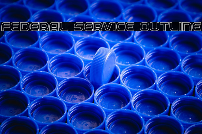 Federal Service Outline Example 3