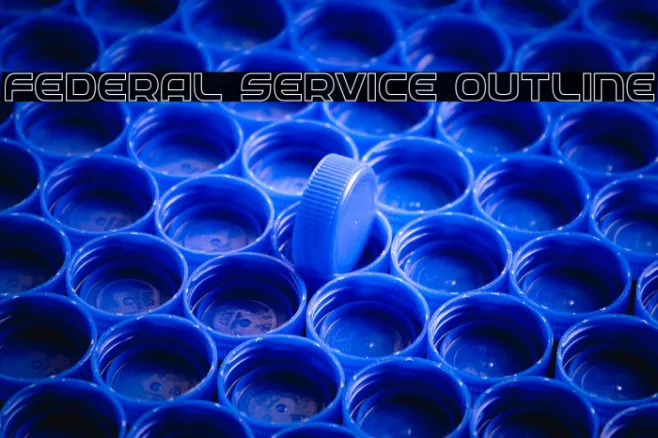 Federal Service Outline Example 3